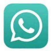 WhatsApp Pro